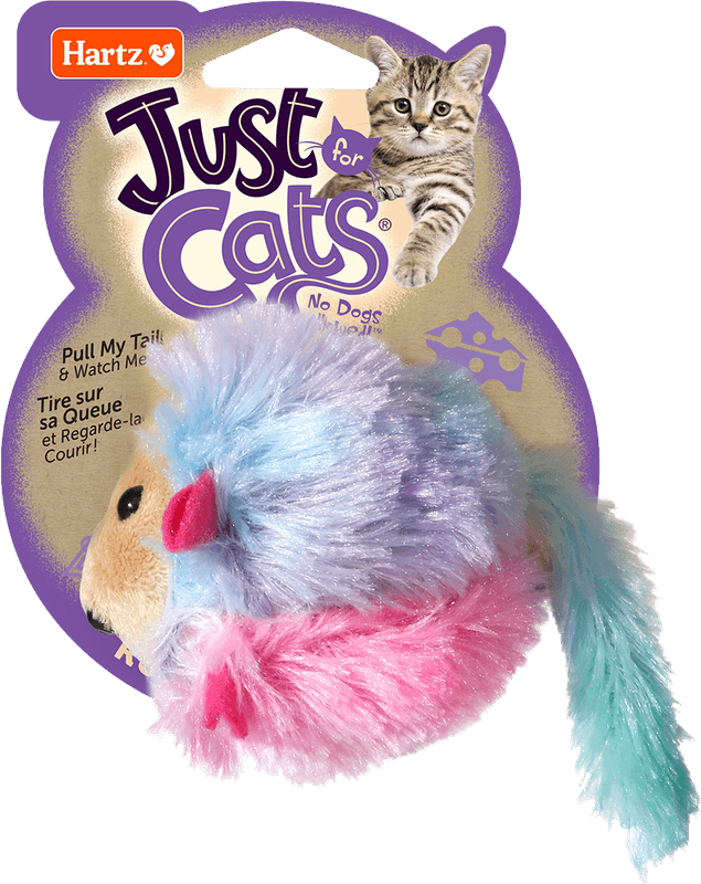 Running Cat PNG