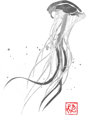 Jelly Fish PNG