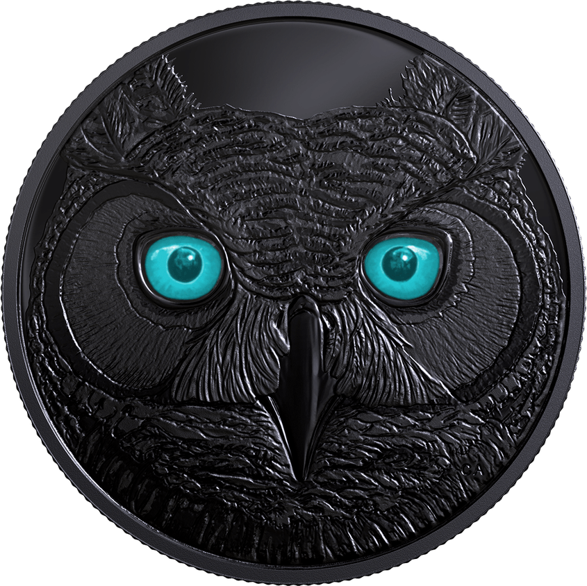 Owl Eyes PNG