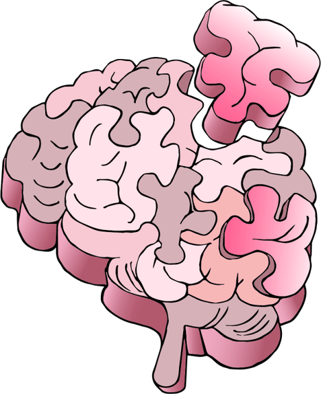 Working Brain PNG