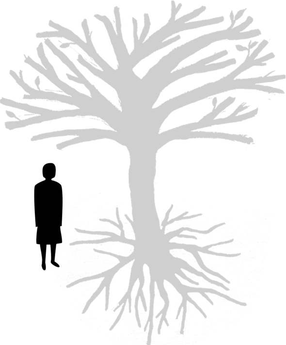 Uprooted Tree PNG
