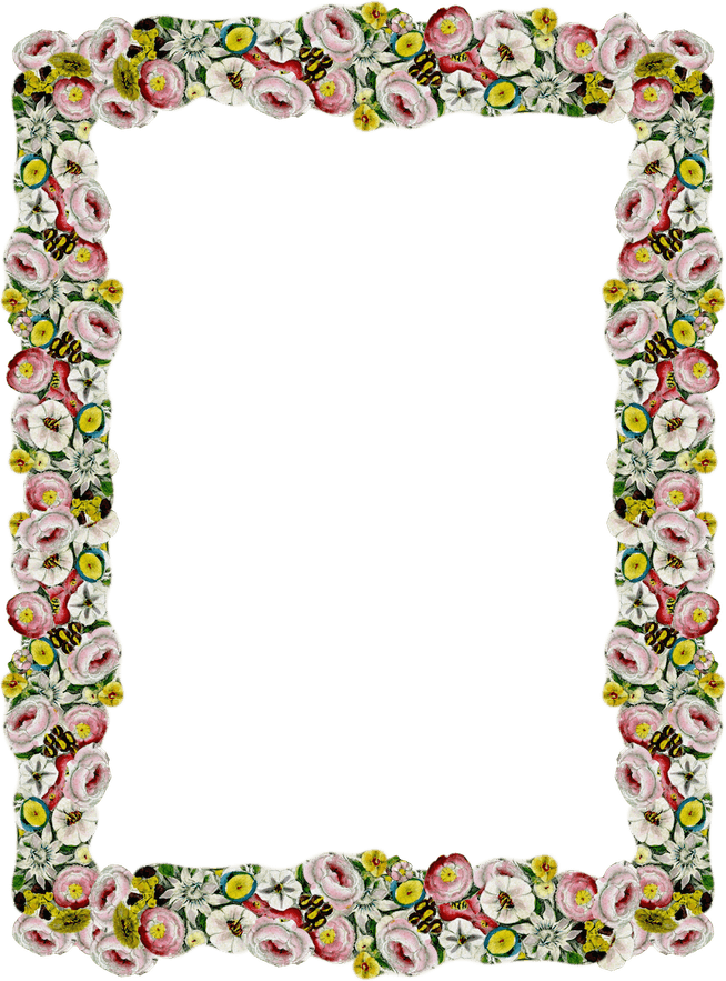 Antique Border PNG