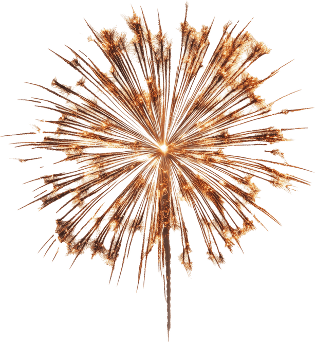 Fireworks Celebration PNG