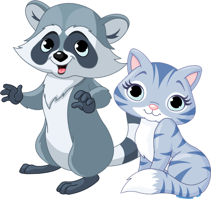 Raccoons PNG