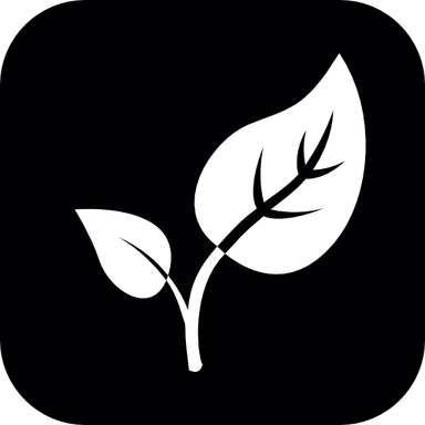 Leaf Black And White PNG
