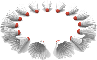 Shuttlecock PNG