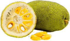 Jackfruit PNG