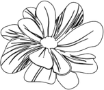 Flower Outline PNG
