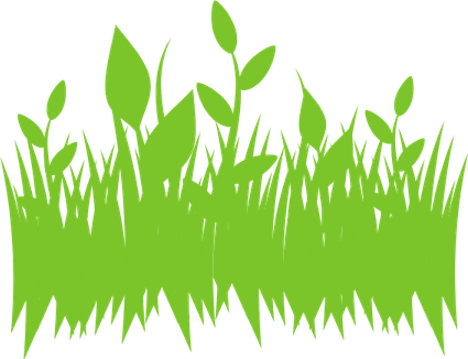 Grass Texture PNG