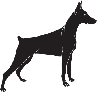 Doberman PNG